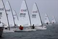 Sail Port Stephens Bay Series  - Ben Austin sail 3051 RS Aero honours