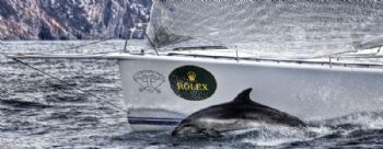 Copyright Carlo Borlenghi / Rolex