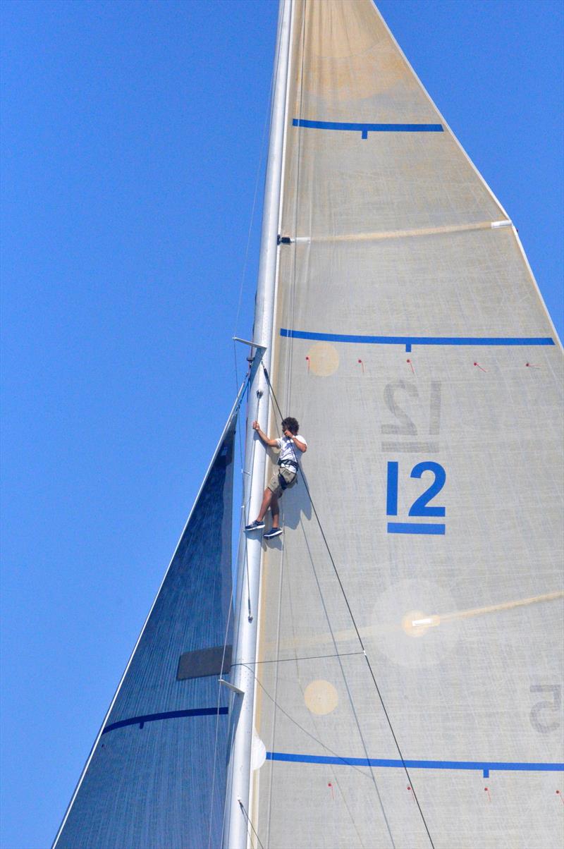 A sailor climbing the mast of one of the participating yachts during last year's 12 Metre North Americans in Newport, R.I photo copyright SallyAnne Santos taken at Ida Lewis Yacht Club and featuring the 12m class