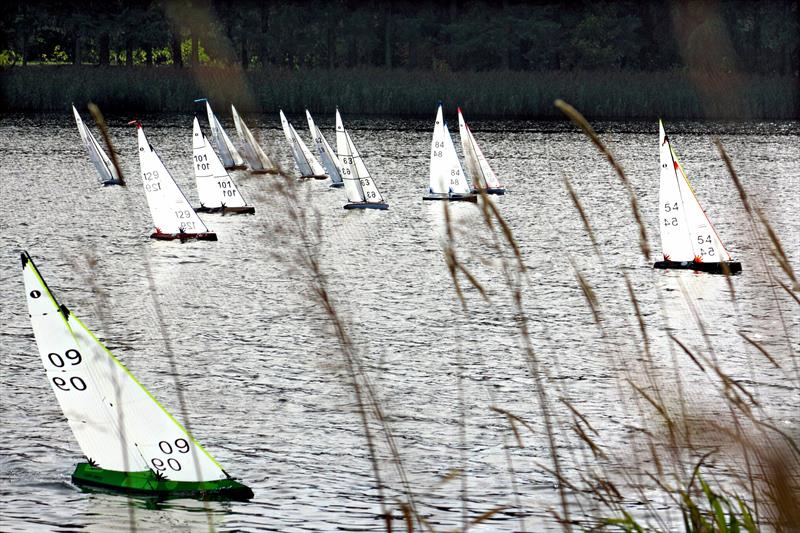 2024 MYA Scottish District IOM Championship 1 at Forfar Loch photo copyright Bill Odger taken at  and featuring the One Metre class