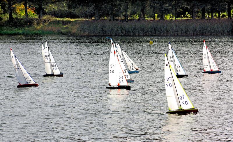 2024 MYA Scottish District IOM Championship 1 at Forfar Loch photo copyright Bill Odger taken at  and featuring the One Metre class