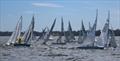 Close racing on Gippsland Lakes for the 2.4mR Australian Championship on day 1 - 2025 2.4mR Australian Championship Paynesville © Christie Arras, GLYC