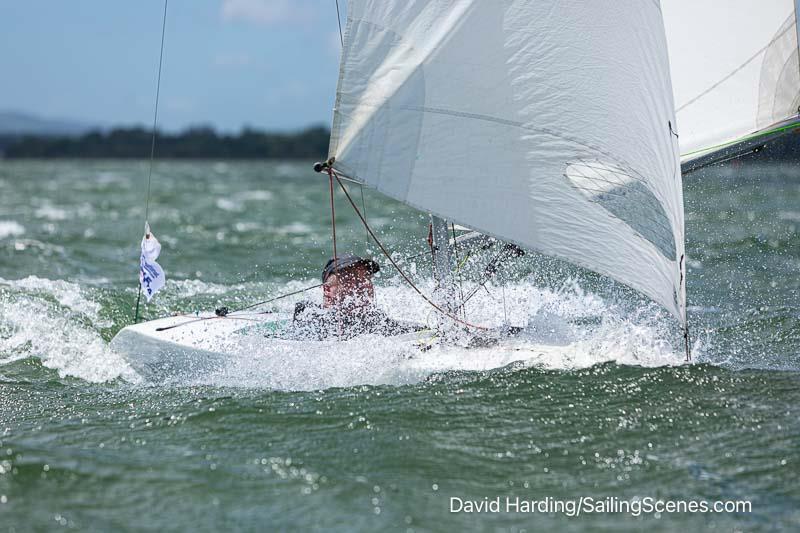 2024 International Paint Poole Regatta Day 2 photo copyright David Harding / www.sailingscenes.com taken at Parkstone Yacht Club and featuring the 2.4m class