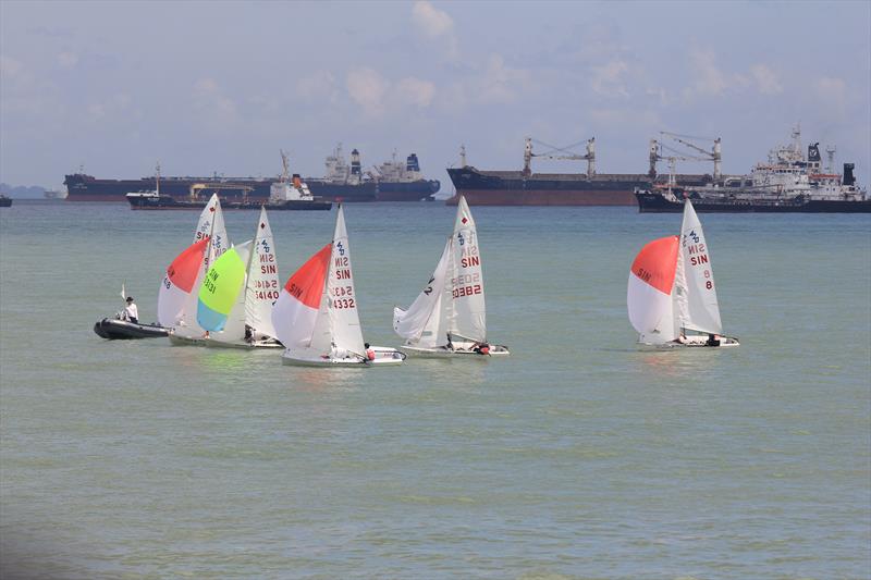 Singapore National Sailing Championships photo copyright Icarus Sailing Media taken at Singapore Sailing Federation and featuring the 420 class