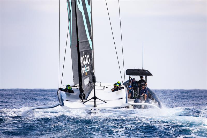 America's Cup - Andoo Team Australia - photo © Nic Douglass @sailorgirlHQ