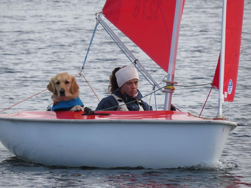 Hansa Class UK Traveller Trophy Series Round 1 at Frampton on Severn photo copyright Ken Elsey taken at Frampton on Severn Sailing Club and featuring the Hansa class