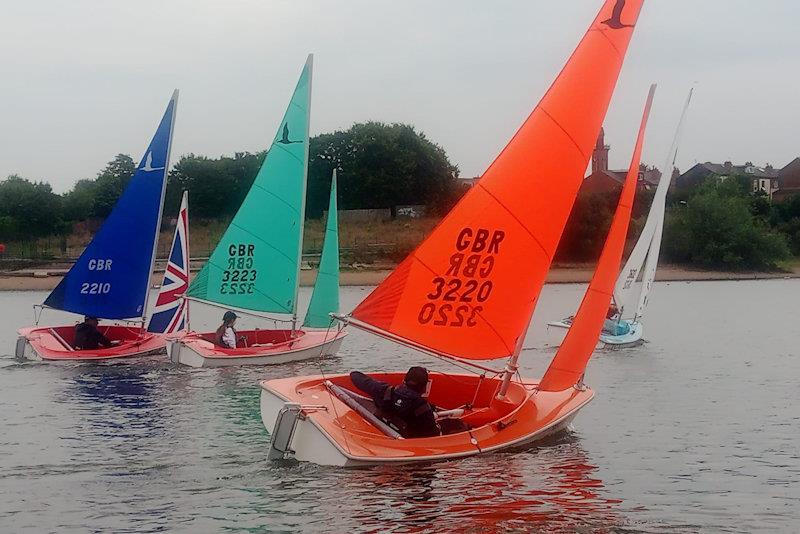 Hansa UK Traveller Trophy Series Round 8 at Midland SC photo copyright Phil Reeves taken at Midland Sailing Club and featuring the Hansa class