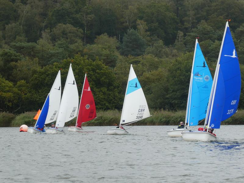 Hansa Class UK Traveller Trophy Series Round 9 at Frensham Pond Sailability - photo © Sean Warnock