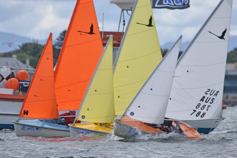 Anticipation builds for the Hansa Worlds - photo © RPAYC