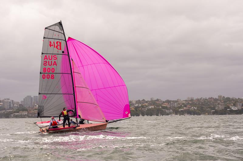 B14 Pre Worlds 2025 at Woollahra Sailing Club, Sydney - photo © Griff Brindley Photography