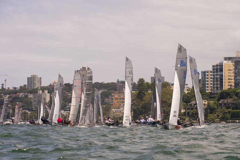 B14 Pre Worlds 2025 at Woollahra Sailing Club, Sydney - photo © Griff Brindley Photography