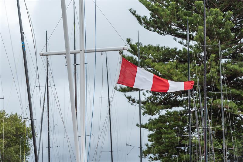 B14 Worlds 2025 on Sydney Harbour Day 2 - photo © Andrew Lee / @aclee.photo