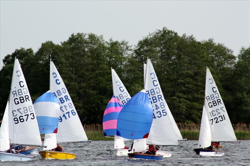 Cadets at Frensham photo copyright David Elliott taken at Frensham Pond Sailing Club and featuring the Cadet class