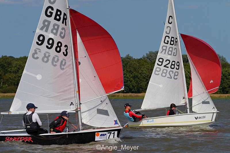 Waldringfield  Cadet Week 2024 photo copyright Angie Meyer taken at Waldringfield Sailing Club and featuring the Cadet class