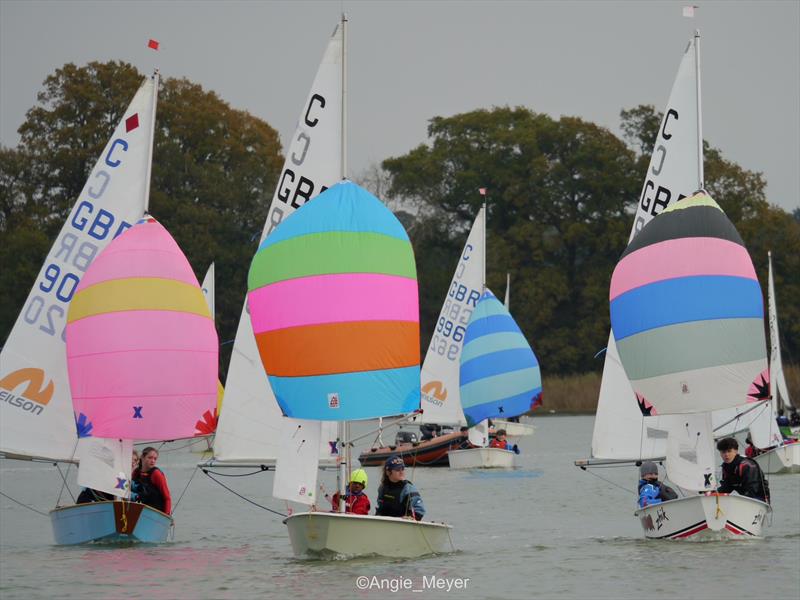 Waldringfield Cadet Open photo copyright Angie Meyer taken at Waldringfield Sailing Club and featuring the Cadet class