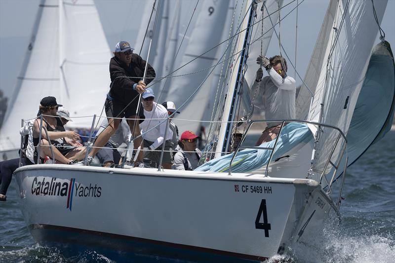 Ullman Sails Long Beach Race Week 2024 photo copyright Tom Walker taken at Long Beach Yacht Club and featuring the Catalina 37 class