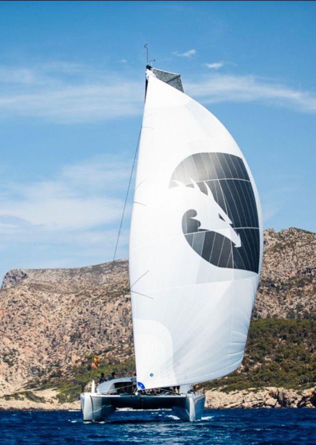 Multihull Cup 2024 photo copyright Sailing Energy taken at  and featuring the Catamaran class