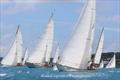 Les Voiles D'Antibes © Ingrid Abery / www.ingridabery.com