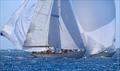 2024 Argentario Sailing Week © Argentario Sailing Week