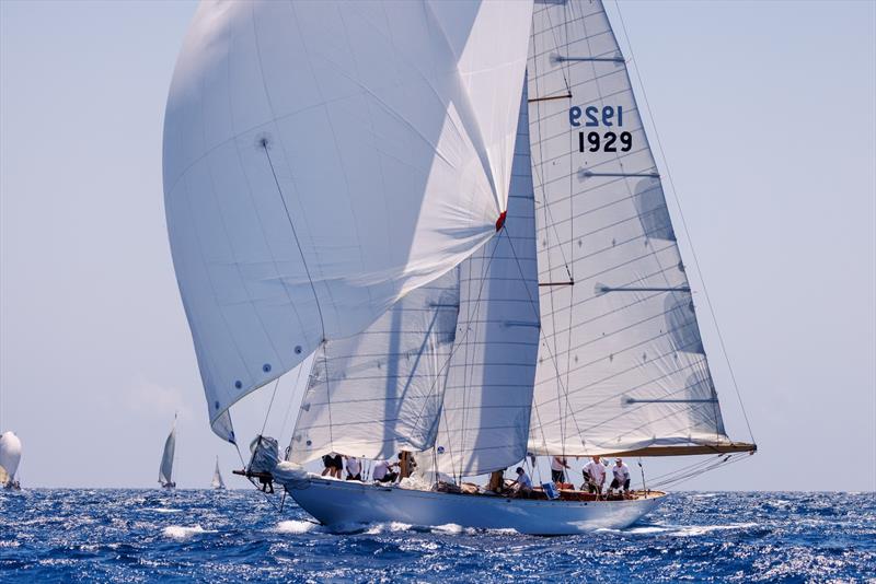 Viveka - Puig Vela Clàssica Barcelona 2023 - photo © Nico Martinez / Puig Vela Clàssica