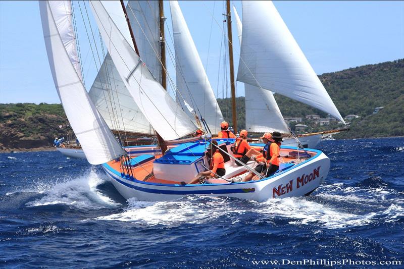 Antigua Classic Yacht Regatta - photo © Den Phillips Photos