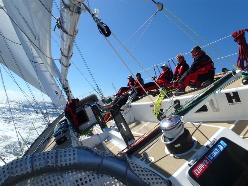 clipper round the world yacht race cost