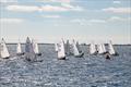 Contender Worlds at Pensacola © Tim Ludvigsen / timludvigsen.pic-time.com