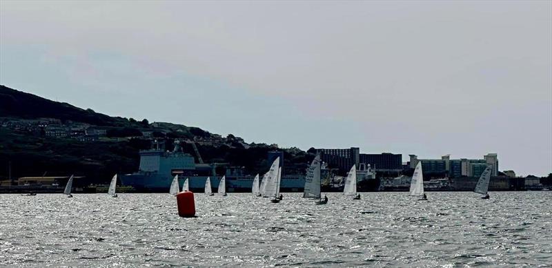 Castle Cove Contender Open photo copyright Richard Weatherburn  taken at Castle Cove Sailing Club and featuring the Contender class