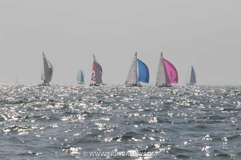 Cowes Week day 5 photo copyright Ingrid Abery / www.ingridabery.com taken at Cowes Combined Clubs and featuring the Daring class