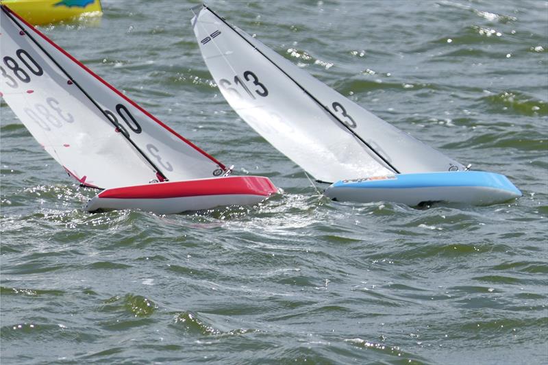 DF95 Summer Series event 1 at Barton's Point Country Park photo copyright Alan Hounsell taken at East Kent Radio Sailing Club and featuring the DF95 class