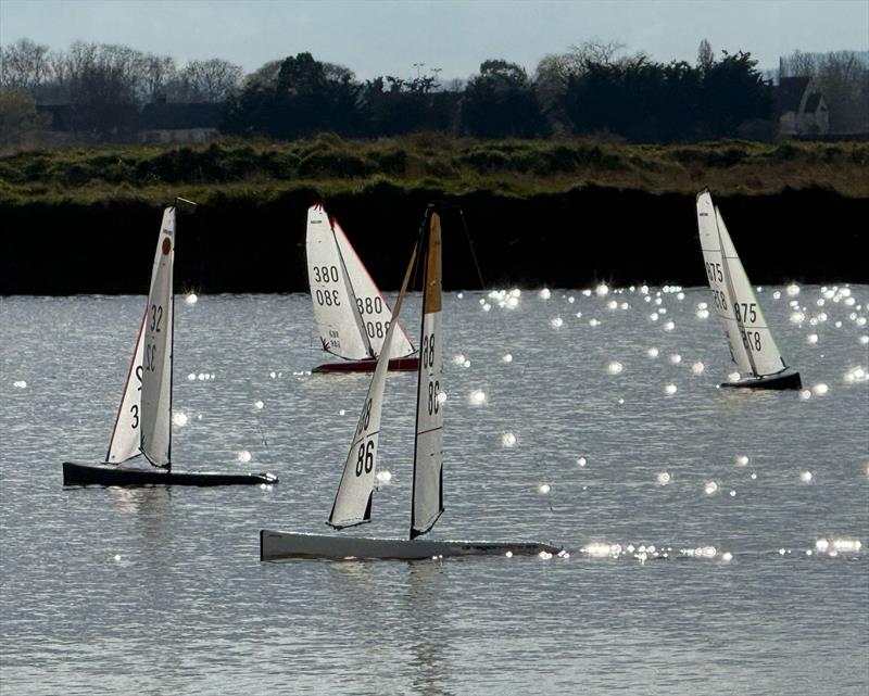 DF95 Winter Series event 8 at East Kent RSC photo copyright Peter Jackson taken at East Kent Radio Sailing Club and featuring the DF95 class