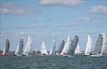 Dinghy Week at Walton and Frinton YC © WFYC