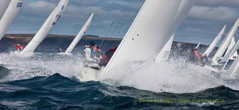 Brewin Dolphin Dragon Gold Cup day 5 photo copyright David Brannigan / www.oceansport.ie taken at Kinsale Yacht Club and featuring the Dragon class