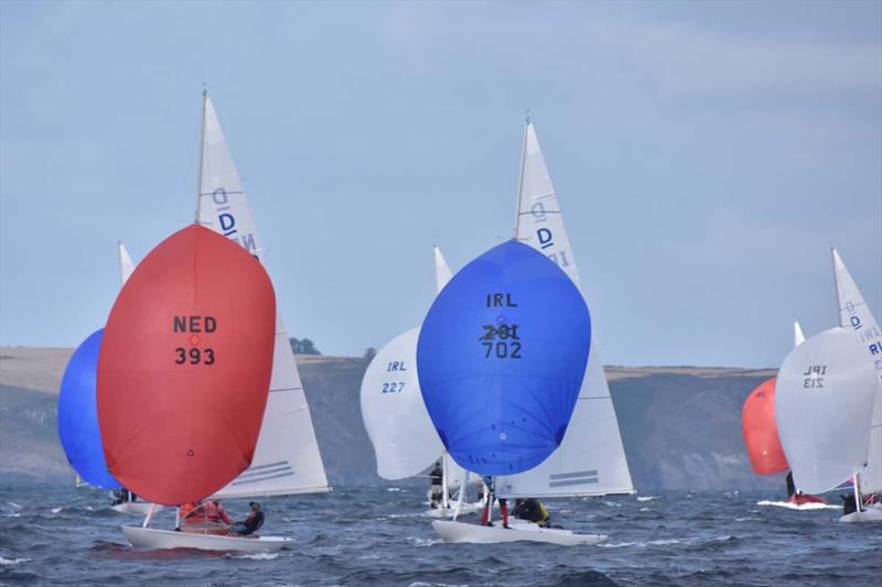 Kinsale Dragon Gold Cup 2024 Day 5 photo copyright David Cullinan taken at Kinsale Yacht Club and featuring the Dragon class