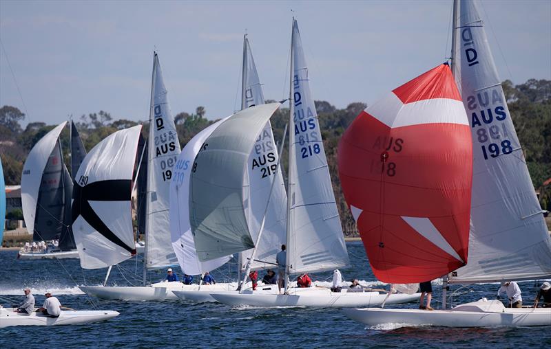 Fleet Under Spinnaker on Melville Water photo copyright John Roberson taken at Royal Freshwater Bay Yacht Club and featuring the Dragon class