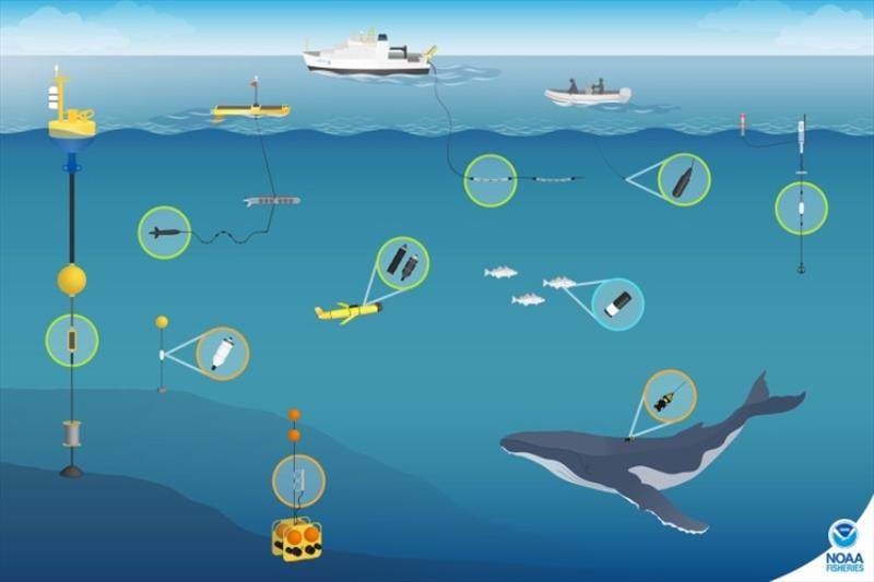 NOAA Fisheries and our partners study marine animals by using a variety of technologies to record underwater sounds, including archival passive acoustic recordings (orange circles), real-time acoustic data collection (green circles), and active acoustics  photo copyright NOAA Fisheries taken at  and featuring the Environment class