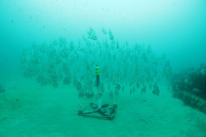 An example of an underwater acoustic recorder deployed on the ocean floor (in Gray's Reef National Marine Sanctuary in Georgia) to listen for whales photo copyright NOAA Fisheries taken at  and featuring the Environment class