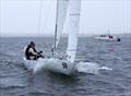 Rob Conn is a picture of concentration as Elusive sails to victory in the 2025 East Gippsland Etchells Championship © Jeanette Severs