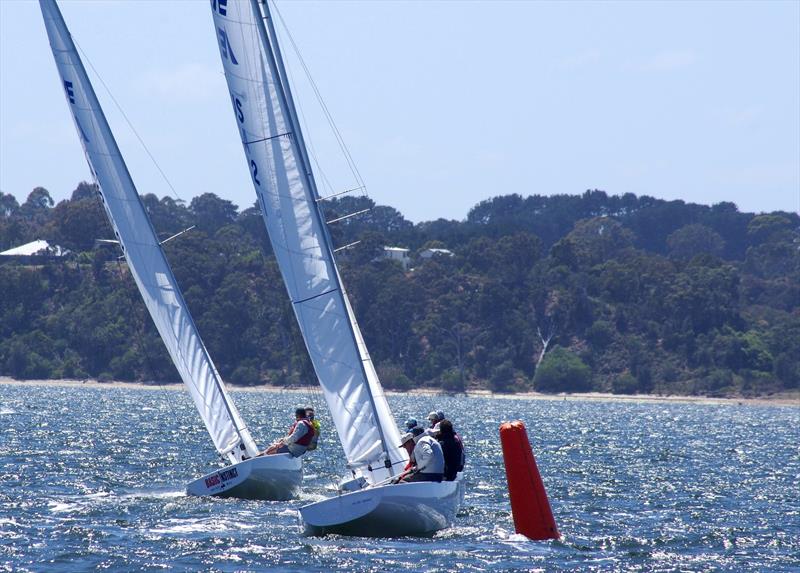 Metung fleet boats Basic Instinct AUS1122, AUS1292 and (in front of 1292) Apres La Mer AUS923, competing in the Etchells 2025 Australian championship, held at Metung, on Lake King photo copyright Jeanette Severs taken at Metung Yacht Club and featuring the Etchells class