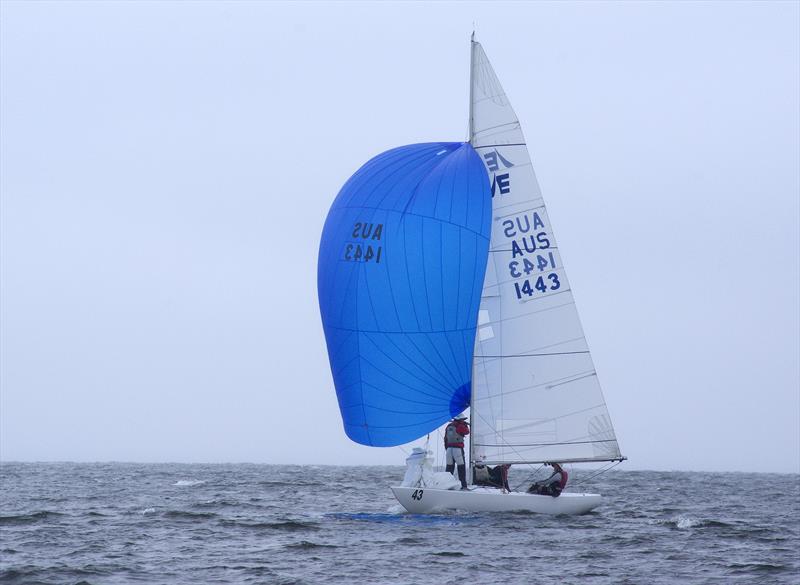 Leading Edge, helmed by Fred Haes, with Will Crooke, Blake Smith and Adrian France as crew, won heat three in the 2025 East Gippsland Etchells Championship photo copyright Jeanette Severs taken at Metung Yacht Club and featuring the Etchells class