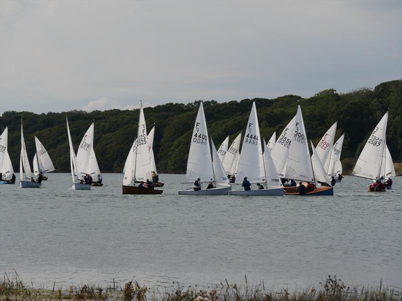 Dell Quay Open photo copyright John Rogerson taken at Dell Quay Sailing Club and featuring the Firefly class