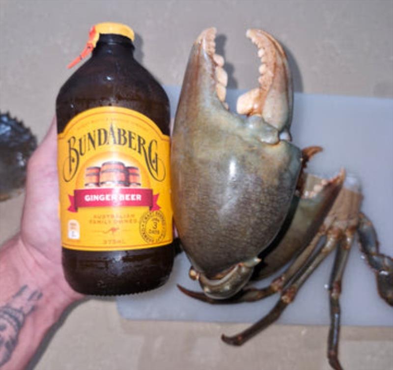 Andy hooked this muddie whilst fishing for jacks with mullet fillet. A bonus capture, sized-up Qld-style just prior to cooking photo copyright Fisho's Tackle World taken at  and featuring the Fishing boat class