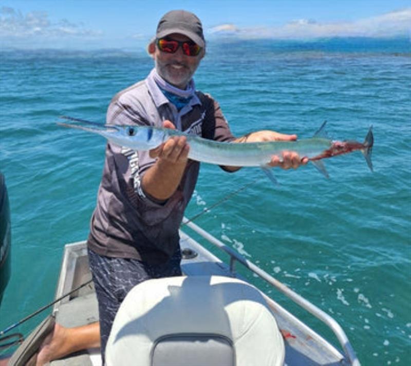 This crazy long tom chewed on its own tail throughout most of the fight, much to Tony's astonishment. They are mad fish! photo copyright Fisho's Tackle World taken at  and featuring the Fishing boat class