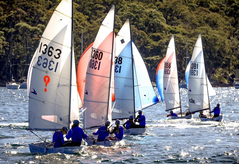 Flying 11s at Manly 16ft Skiff Sailing Club - photo © SailMedia