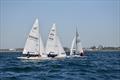 2025 Flying Fifteen Australian Nationals at Davey's Bay YC © Jacob Liebenberg