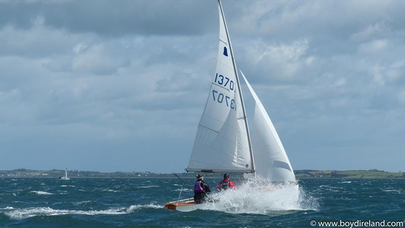 Exe Sails GP14 World Championship day 1 photo copyright Boyd Ireland / www.boydireland.com taken at East Down Yacht Club and featuring the GP14 class