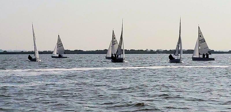 GP14 Southern Travellers at Maylandsea Bay photo copyright Kenny / MBSC taken at Maylandsea Bay Sailing Club and featuring the GP14 class