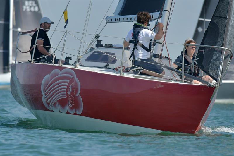 Red Cloud at the in Advance Half Ton Classic Cup - photo © Pit De Jonge