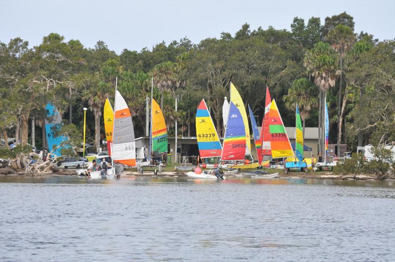 NSW Hobie Cat State Championships on Wallis Lake photo copyright Bruce Andersson taken at Great Lakes Sailing Club and featuring the Hobie 14 class