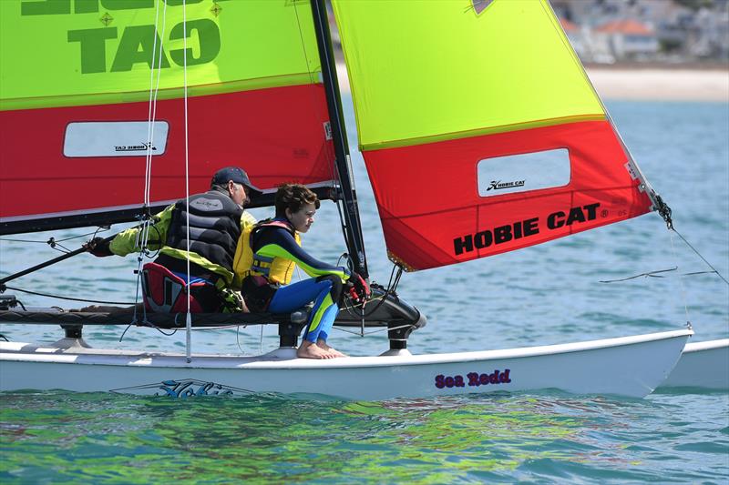 Savills Channel Islands Hobie Cat Championships 2024 photo copyright David Ferguson taken at Royal Channel Islands Yacht Club and featuring the Hobie 16 class